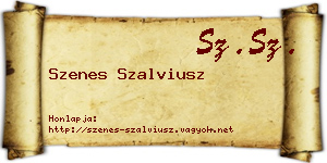 Szenes Szalviusz névjegykártya